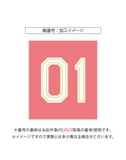 画像6: 一重縁取り刺繍 "オフホワイト起毛生地" 2025女性限定配布式 (6)