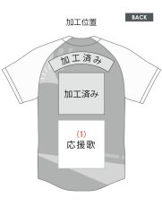 画像2: 応援歌加工のみ  2025女性限定配布式 (2)