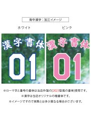 画像6: 一重ラバー圧着 2025配布式(地球) (6)
