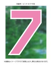 画像9: 一重ラバー圧着 2025配布式(地球) (9)