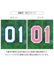 画像7: 一重縁取り刺繍  2025配布式(地球) (7)