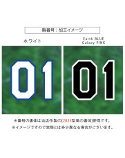 画像8: 一重縁取り昇華龍タイプ  2025配布式(地球) (8)