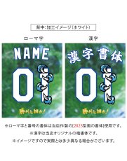 画像5: 一重縁取り刺繍 “Dragon hand edition”  2025配布式(地球) (5)