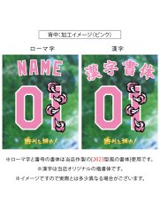 画像6: 一重縁取り刺繍 “Dragon hand edition”  2025配布式(地球) (6)