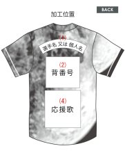 画像3: 応援歌セット(ノーマル)  2025配布式(地球) (3)