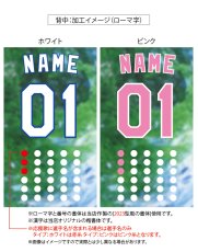 画像5: 応援歌セット(ノーマル)  2025配布式(地球) (5)