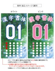 画像6: 応援歌セット(ノーマル)  2025配布式(地球) (6)
