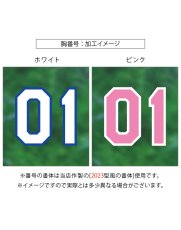 画像7: 応援歌セット(ノーマル)  2025配布式(地球) (7)