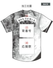 画像3: 応援歌セット(昇華龍)  2025配布式(地球) (3)