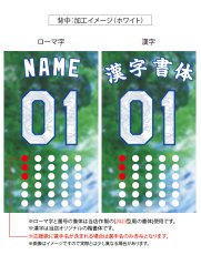 画像5: 応援歌セット(昇華龍)  2025配布式(地球) (5)