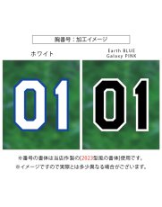 画像8: 応援歌セット(昇華龍)  2025配布式(地球) (8)