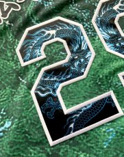 画像18: 一重縁取り昇華龍タイプ  2025配布式(地球) (18)