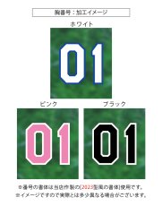 画像8: 応援歌セット “Dragon hand edition”  2025配布式(地球) (8)