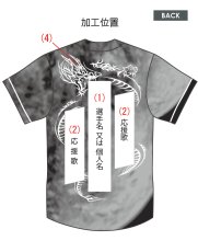 画像3: 応援歌セット “縦組み金龍”  2025配布式(地球) (3)