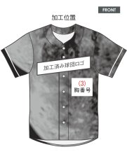 画像4: 応援歌セット “縦組み金龍”  2025配布式(地球) (4)