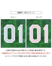 画像6: スパンコール(ライン)  2025配布式(地球) (6)