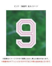 画像10: スパンコール(ライン)  2025配布式(地球) (10)