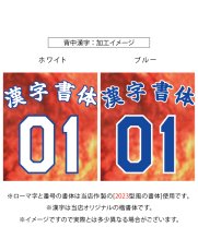 画像6: 一重ラバー圧着 2025配布式(太陽) (6)