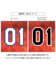 画像8: 一重縁取り昇華龍タイプ  2025配布式(太陽) (8)