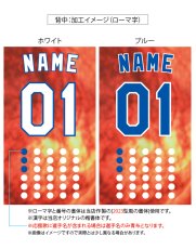 画像5: 応援歌セット(ノーマル)  2025配布式(太陽) (5)