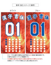 画像6: 応援歌セット(ノーマル)  2025配布式(太陽) (6)