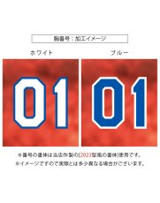 画像7: 応援歌セット(ノーマル)  2025配布式(太陽) (7)