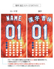 画像5: 応援歌セット(昇華龍)  2025配布式(太陽) (5)