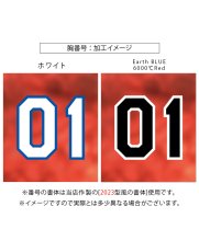 画像8: 応援歌セット(昇華龍)  2025配布式(太陽) (8)