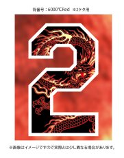 画像14: 応援歌セット(昇華龍)  2025配布式(太陽) (14)