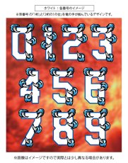 画像8: 応援歌セット “Dragon hand edition”  2025配布式(太陽) (8)