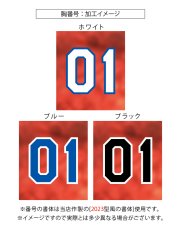 画像9: 応援歌セット “縦組み金龍”  2025配布式(太陽) (9)