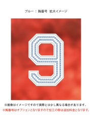 画像9: スパンコール(ライン)  2025配布式(太陽) (9)